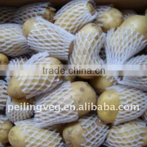 Fresh Yellow Sweet Potatoes From China thumbnail-1