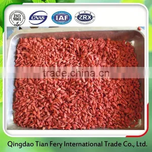 Healthy Food Goji Berries For Brazil Market thumbnail-1