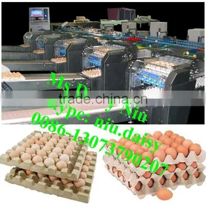 Automatic Egg Weighing Grading Machine/egg Grading Packing Machine/egg Grader for Packing thumbnail-1