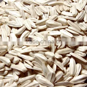 White Sunflower Seeds From Turkey thumbnail-3