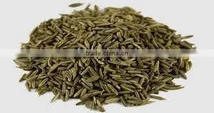 CARAWAY ESSENTIAL OIL thumbnail-1