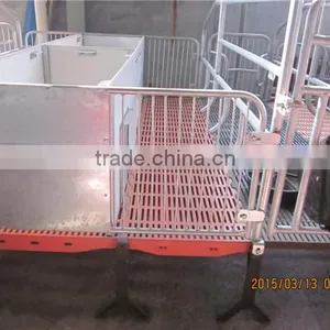 Goldenest High Quality Cheap Price Automatic Farrowing Crate for Pigs Sow Sty Farming Equipment for Sale thumbnail-5