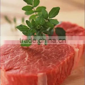 Vacuum Mixer for PROCESSING Meat thumbnail-1