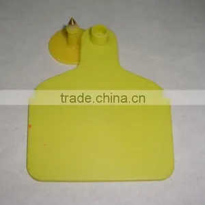 Ear Tag thumbnail-1