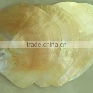 Polished Raw Yellowlip Mother of Pearl Shells for Sale thumbnail-1