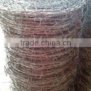 Electro Galvanized Barbed Wire ISO9001 Joint Venture thumbnail-1