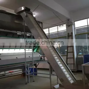 7 Chutes Color Sorter Machine/ Sorting Machine for Dehydrated Vegetables thumbnail-6