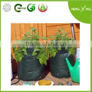 PE Grow Bag thumbnail-1