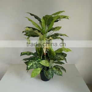 Artificial Green Plant Wholesale thumbnail-3