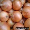 Fresh Onions thumbnail-1