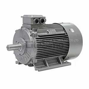 3 Phase Compressor Motor thumbnail-4