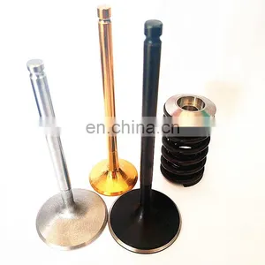 Race Engine Valve for Nissan ZX230 ZX240 ZX250 ZX270 ZX280 ZX330 ZX330 ZX350 ZX370 ZX450 ZX470 ZX520 thumbnail-7