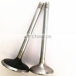 For Moto Motos cf v3 V5v 12v cf 250 250cc 300cc Engine Valves Fits Gas Motorcycle Spare Parts and Accessories thumbnail-4
