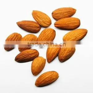 Bitter Apricot Kernel thumbnail-1