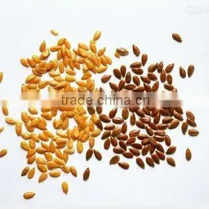 Hulled Linseed Organic thumbnail-1