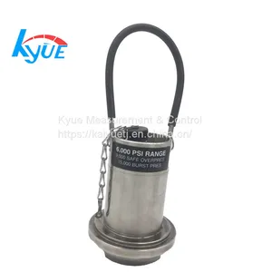 Wellhead Union Pressure Sensor thumbnail-1