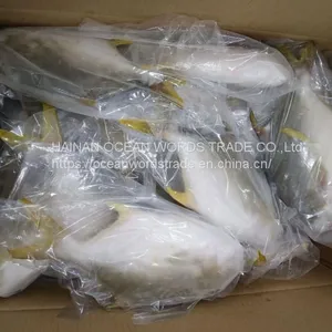 Good Golden Pompano, Golden Pomfret, Golden Pompano 300-400g/400-600g/500-600g/800+ thumbnail-1