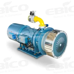 EBICO Blast Furnace Gas Heat Conduction Oil Furnace Burner thumbnail-2