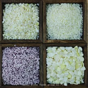 Pure Nature Organic Freeze Dried Onion Distributor thumbnail-2