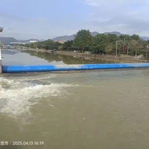 橡胶坝 (72)