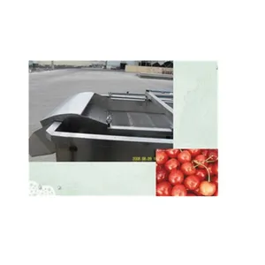 China 500kg Cherry Stem Remove Machine thumbnail-2