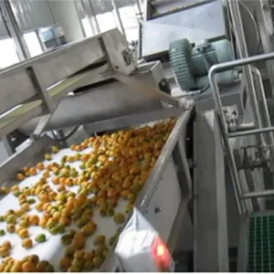 Rotary Roller Drum Fruit and Vegetable Washing Machine for Promotion thumbnail-2