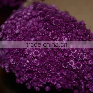 Star Flower Bouquet thumbnail-5