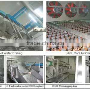 Poultry Chilling Line thumbnail-1