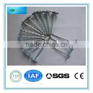 Hot Sale Roofing Nails/umbrella Head Nails thumbnail-2