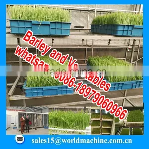 Hydroponicpoultry Feed Machine for Sale/hydroponic Fodder System/hydroponics Fodder Hydroponic Culturing Barley Breeding Machine thumbnail-2