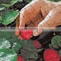 Mutiple-purpose Plastic Mesh/diamond &square Mesh thumbnail-6