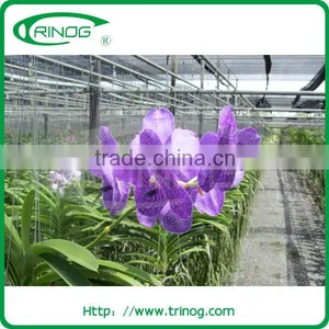 Shade Greenhouse Tent thumbnail-1