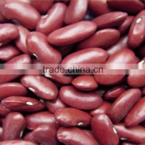 Red Kidney Beans thumbnail-1