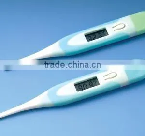 Digital Thermometer thumbnail-1