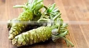 Wasabi Powder High Quality Competitive Price Best Selling thumbnail-2