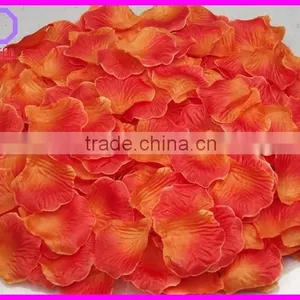 Preserved Natural Rose Petals thumbnail-3
