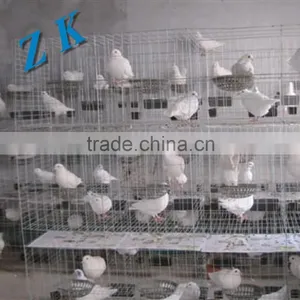Automatic Water for Chicken Cage , Laying Hen ,small Chicken ,chick thumbnail-4