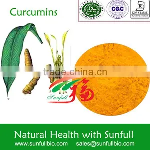 Natural Turmeric Extract Curcumins 95% thumbnail-1