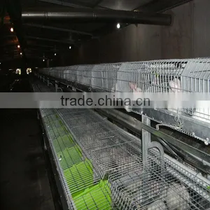 Automatic Battery Cage for Rabbit thumbnail-1