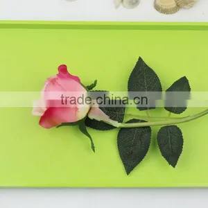 1494 Sweet Color Melamine Tray in Green thumbnail-5