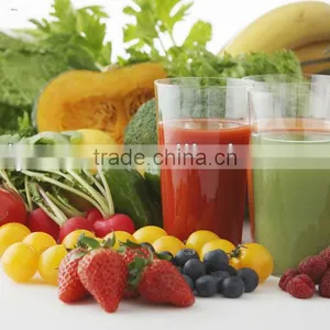 Single Channel Fruit Vegetable Beating Machine thumbnail-1