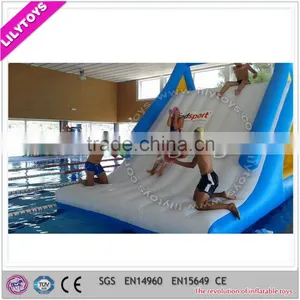 2015 Newest Design Inflatable Pool Slide on Sale, Giant Inflatable Water Slide thumbnail-5