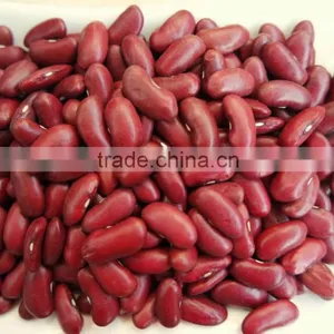 2015 Dark Red Kidney Bean thumbnail-1