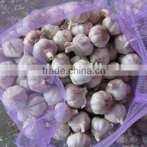Fresh Garlic(Daily Products) thumbnail-1