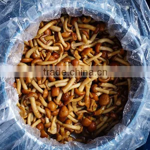 Nameko Can, Sell Nameko Can,buy Nameko Can,nameko Can Manufacturer thumbnail-4