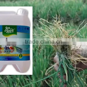 Chitosan Nematicide Liquid Agriculture Seaweed Fertilizer thumbnail-1