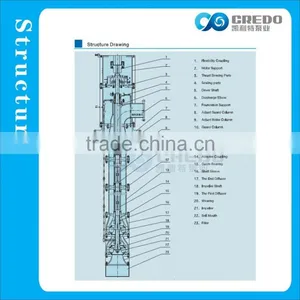 Vertical Long Shaft Sea Water Pump thumbnail-3