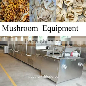 Mushroom Belt Drying Machine thumbnail-1