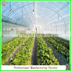 Customer Design Commercial Glass Greenhouses for Roses/strawberry/tomatoes Planting thumbnail-5