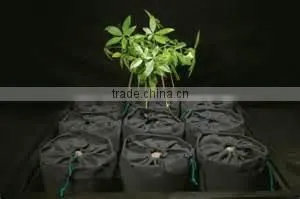 Non Woven Fabric Growing Cone for Tomato Bags thumbnail-3